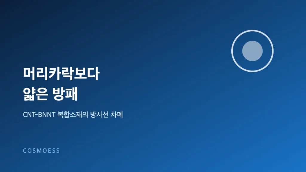 CNT-BNNT 방사선 차폐 복합소재 개념도