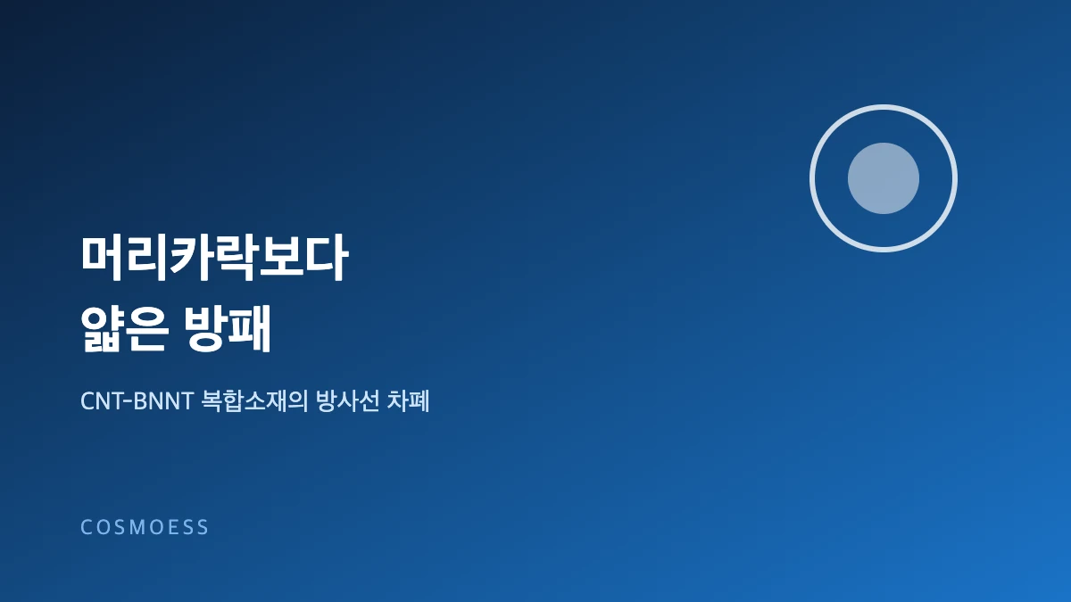 CNT-BNNT 방사선 차폐 복합소재 개념도